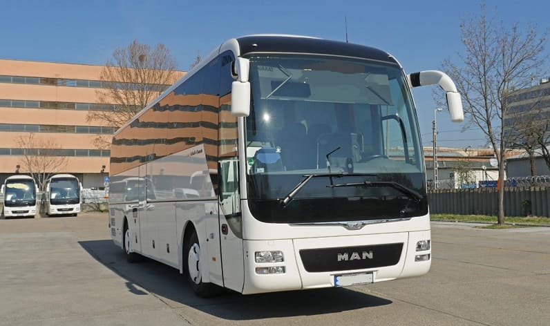 Flemish Brabant: Buses operator in Overijse in Overijse and Flanders